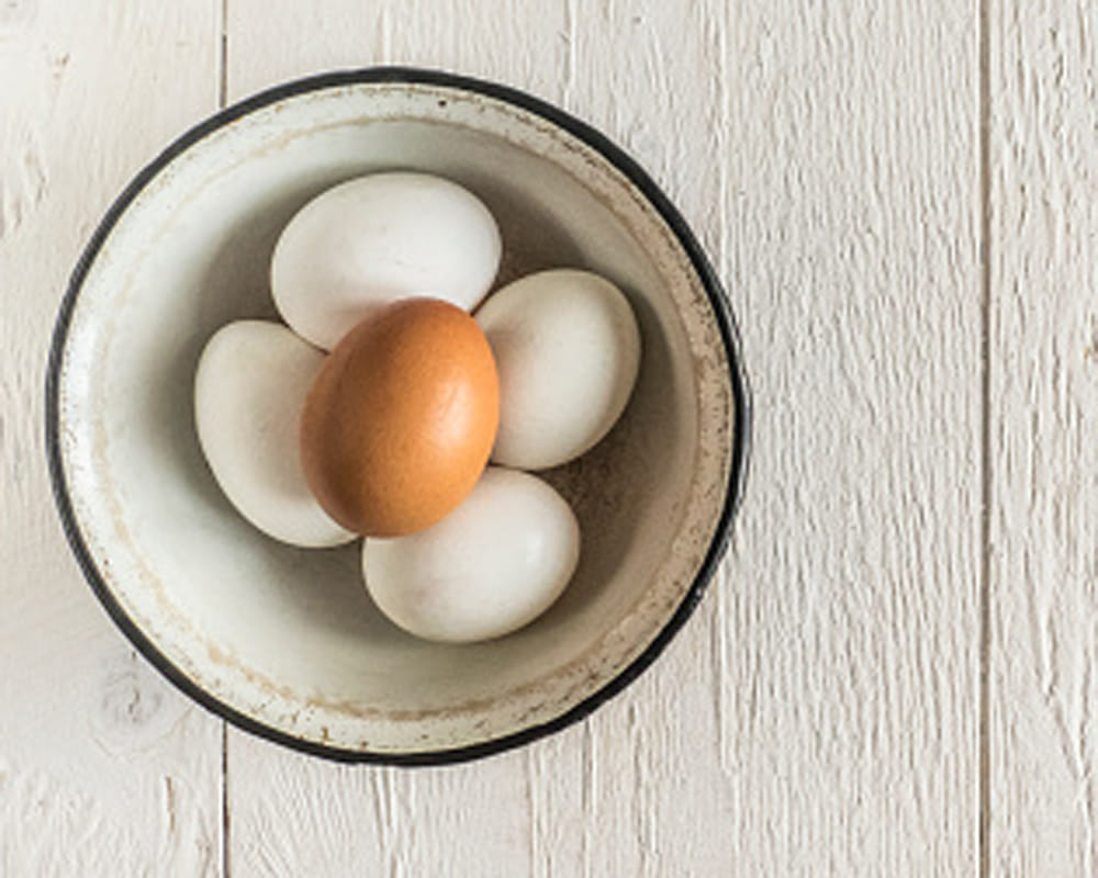 food to build muscle fast without any workout