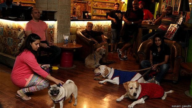 a restaurant where the Pets also have fun