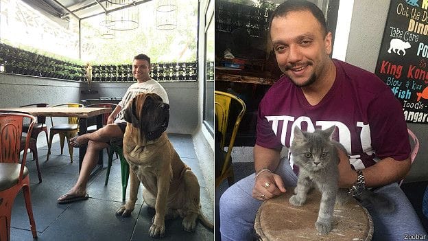 a restaurant where the Pets also have fun