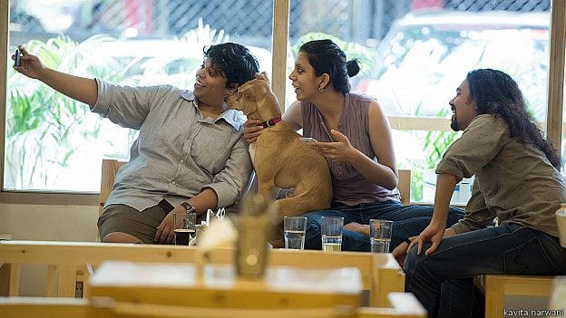 a restaurant where the Pets also have fun