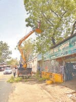electricity, disturb, problam, narnaul