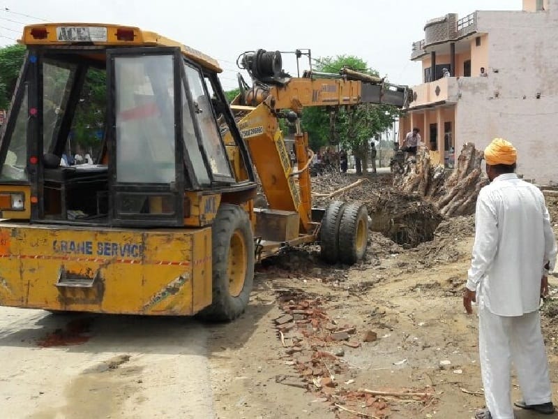 tree cut, tara taran tree cut, sarpanch cut tree, 50 years old tree cut, amritsar