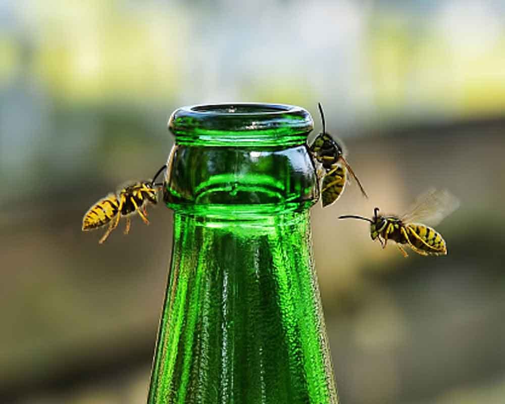  Bizarre Uses of Sugar 