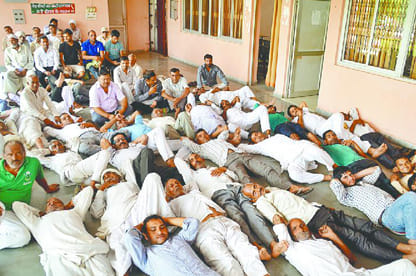 Compensation for the farmer roared Collectorate