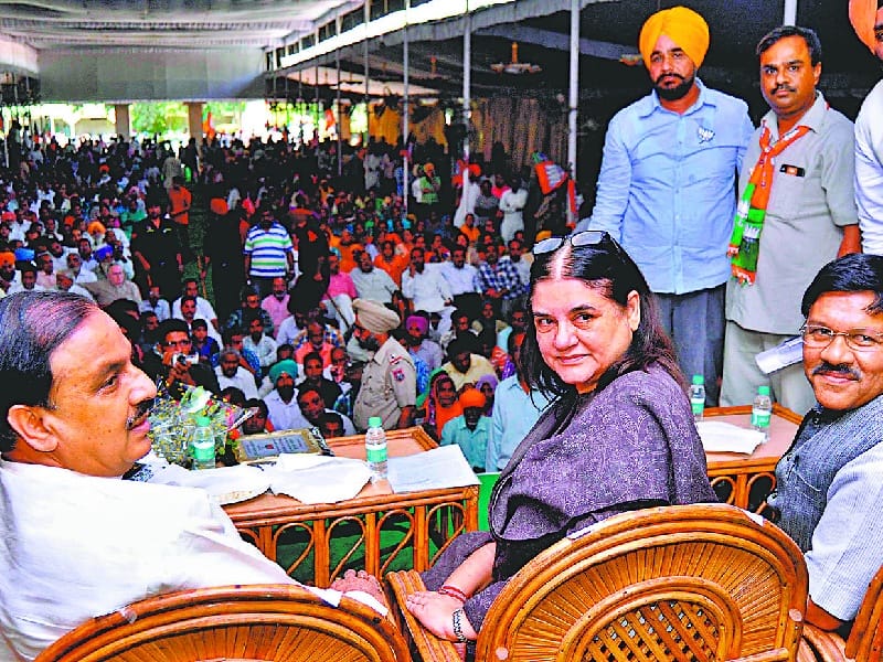 Punjab,assembly elections,  BJP, SAD, Patiala