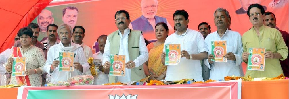 BJP office celebrating development festival