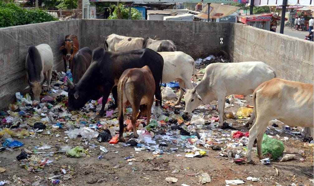 850 sweeper city will mess 'away'