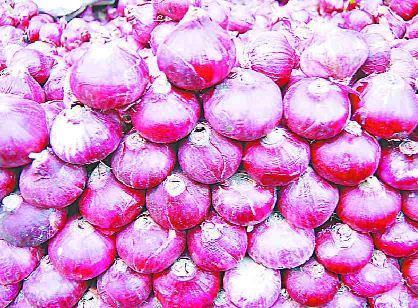 onion news