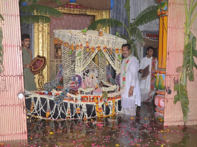 live darshan of thakur dwarikadheesh