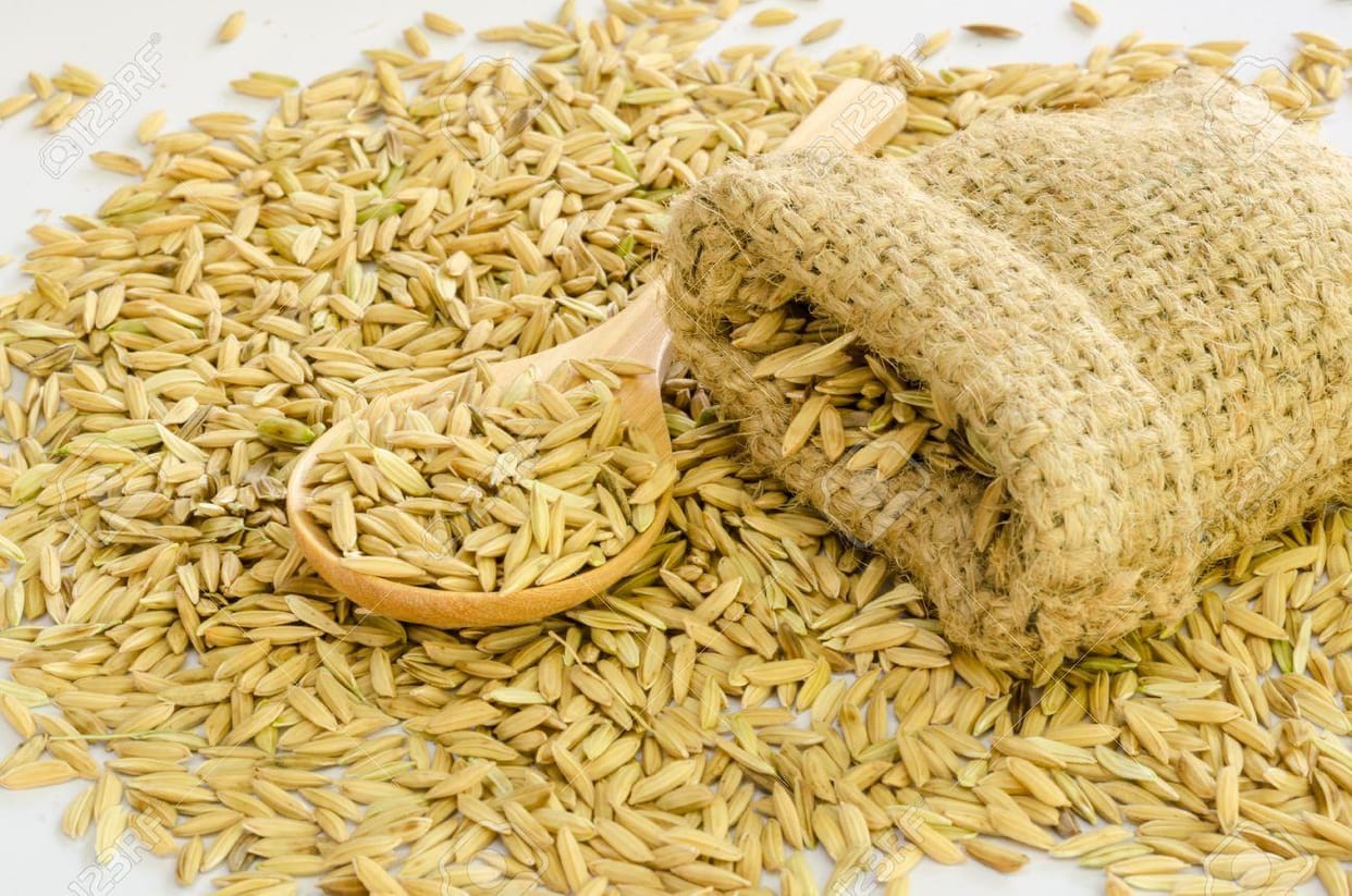 two shop barred to sell seed