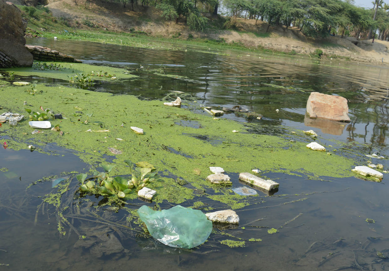 polithin polluated tamasa