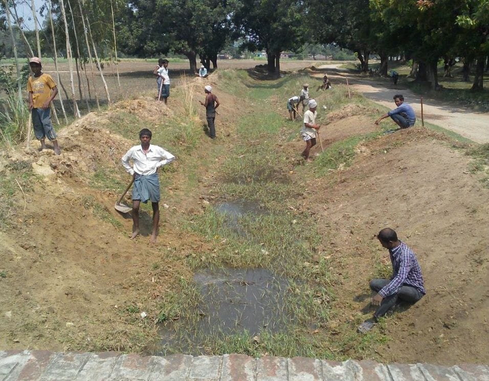 Cleaning silt name just peeling grass