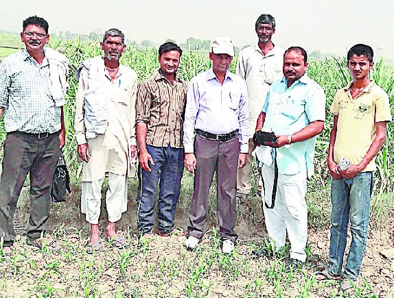 GPS machines were stalled, how survey