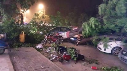  Pakistan devastated by storm , killing 14