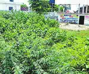 Consumer Forum court to get new building.