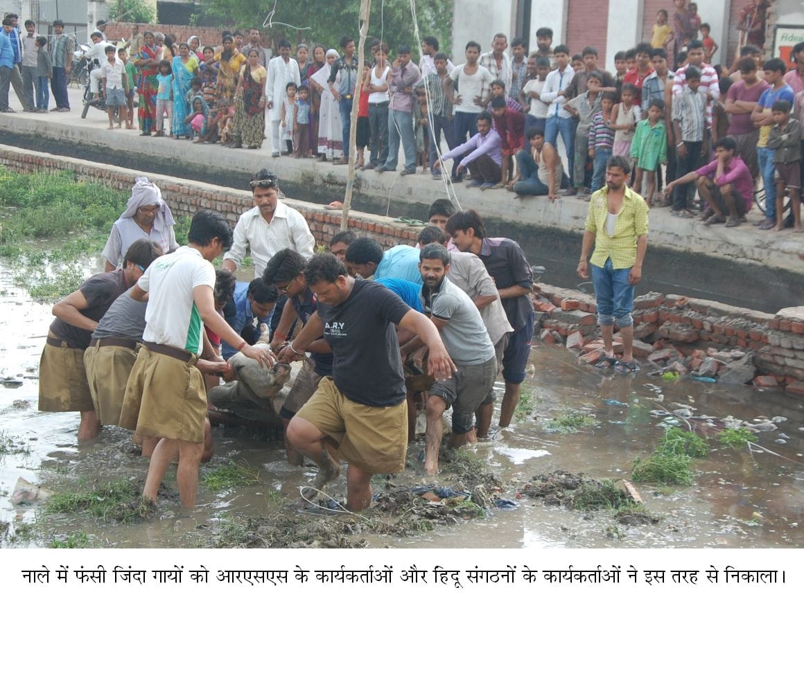 On Gotskri organically, truck blew threw stones at police