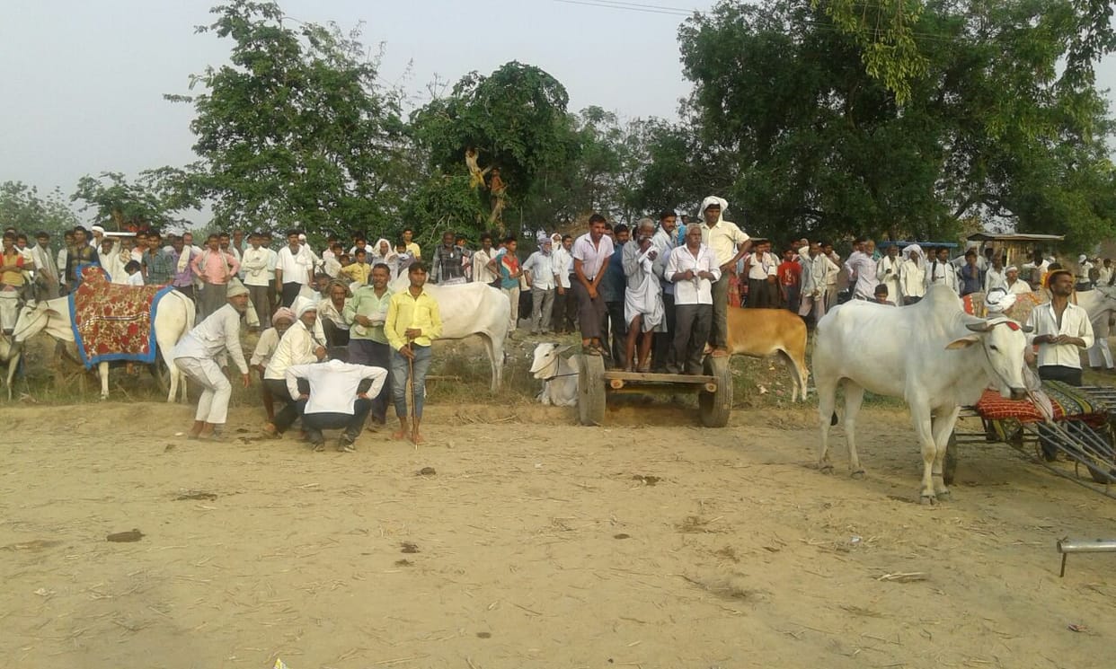 Bull Run in Dbtori When the crowd thronging