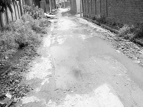 VIP colony waterlogging on the road