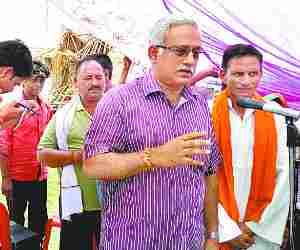 Barolia on the way of progress