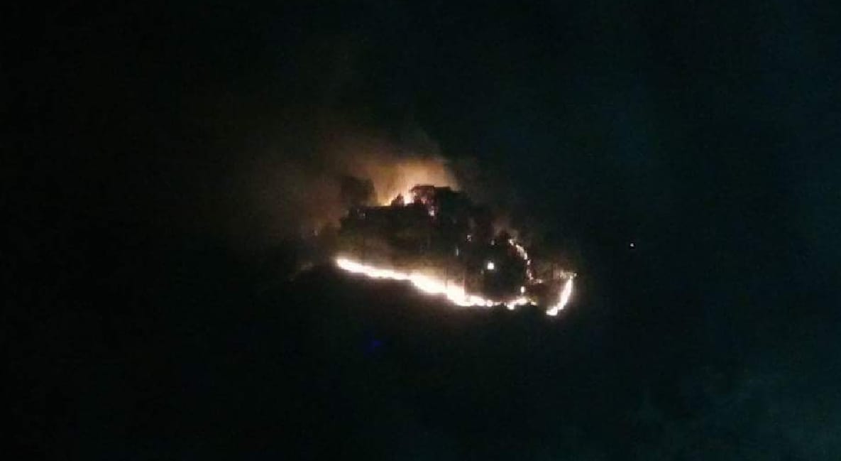 fire in rajouri forest1