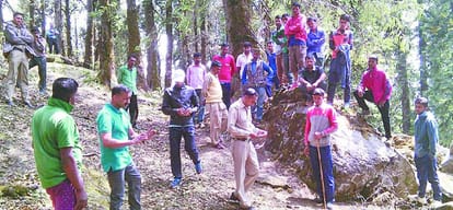 animal parts found in jungle sirmour himachal pradesh