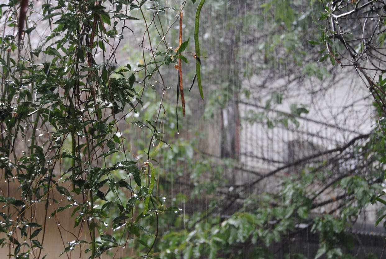 heavy rain alert in nine district of uttarkhand.