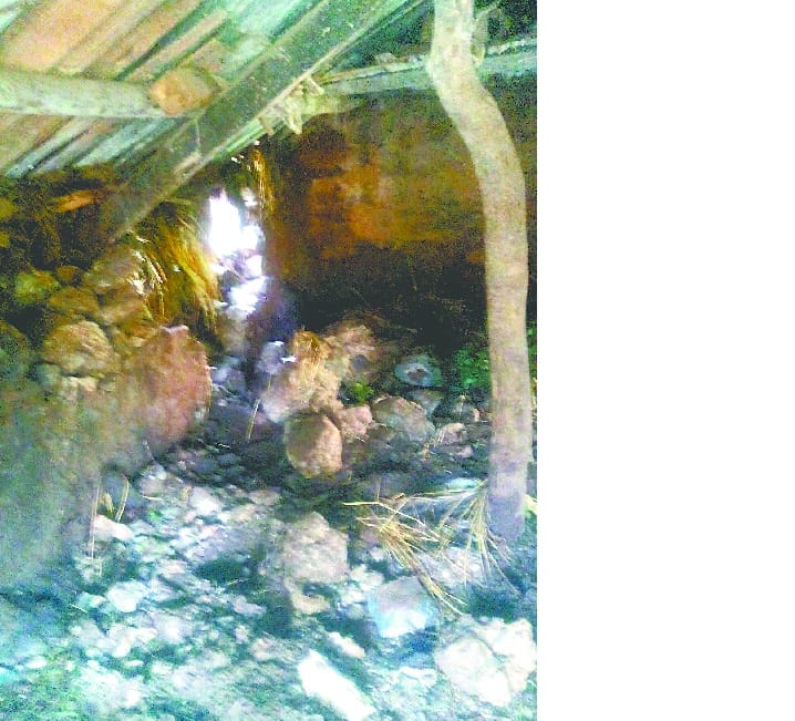 Cowshed collapsed from the rains, debris fields, the attitude gadherom