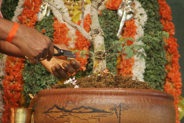 shani jyanti shani remedy