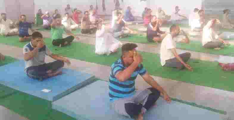 yoga camp, patanjali yoga camp, berwala yoga camp, berwala, panchkula