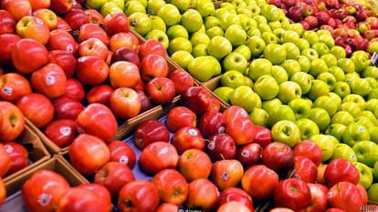 Do you know where apple grows first?
