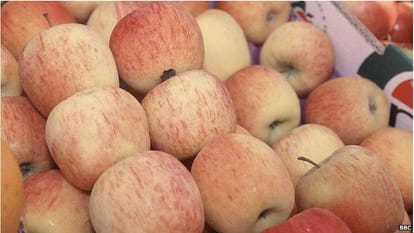 Do you know where apple grows first?