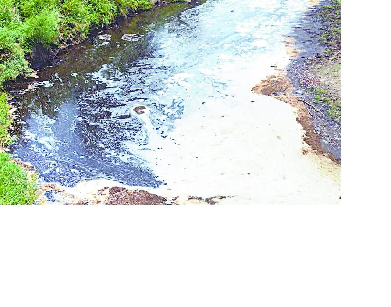 Bhlla factories making the poisonous