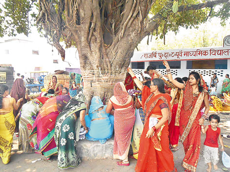 Banyan tree worship life of her husband and son sought