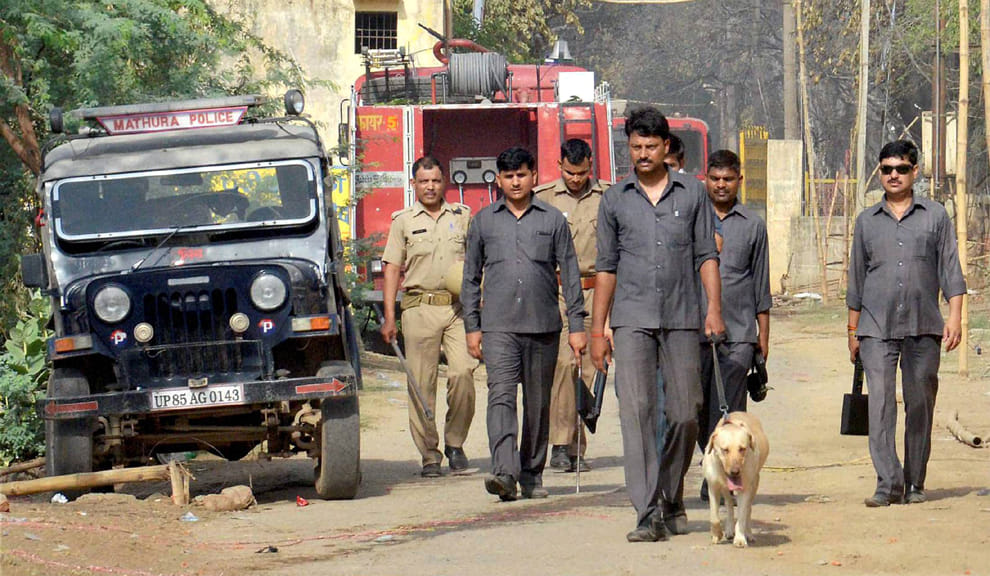 Security agencies searching mad army
