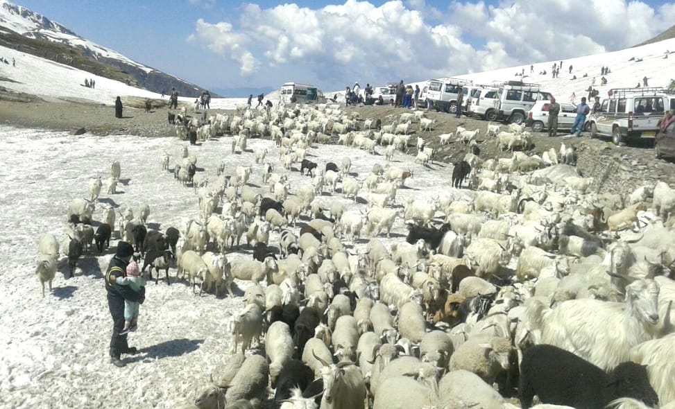 Tourist enjoying at rohtang, relief from heat, live photos.