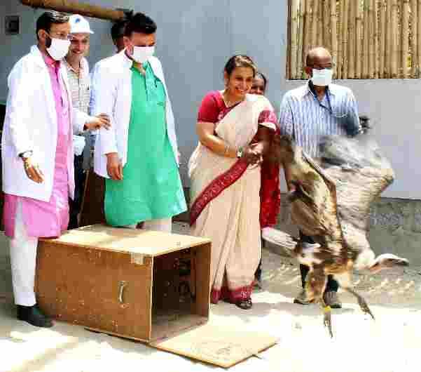 two Vulture released from pinjore, minister prakash javdekar 