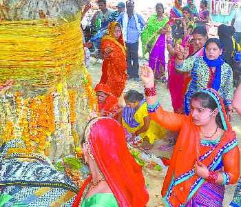 Vat Savitri worship 