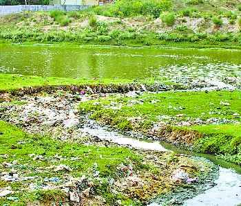 Forest mafia made enemies of pure environment 