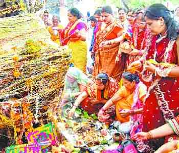 worship the women of the banyan tree 