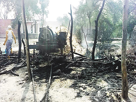 Thatched bungalow fire burns seven cattle
