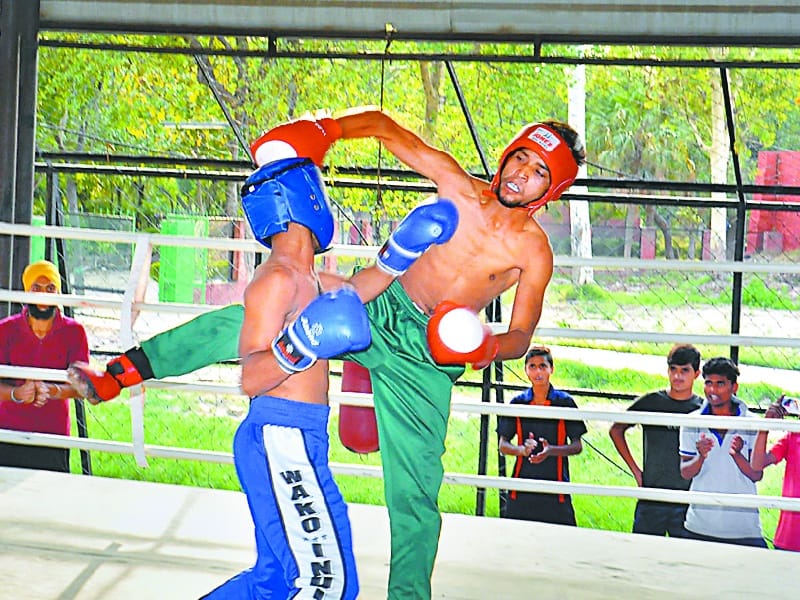 Kick Boxing Championship, Jasvir Kaur won the gold, Sangrur
