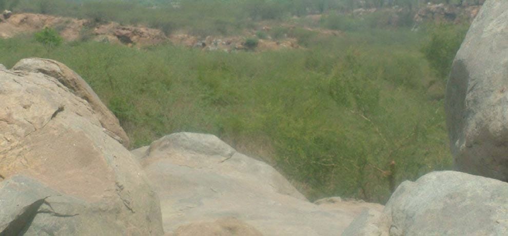 world environment day and greenery going 20% less in arawali area