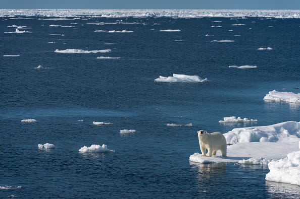 Arctic sea ice ‘to disappear for first time in 100,000 years