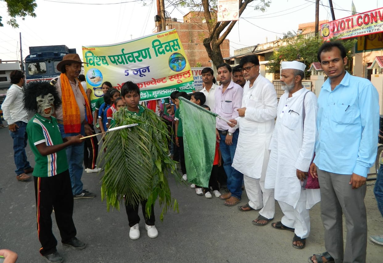 how can we serve environment in this way