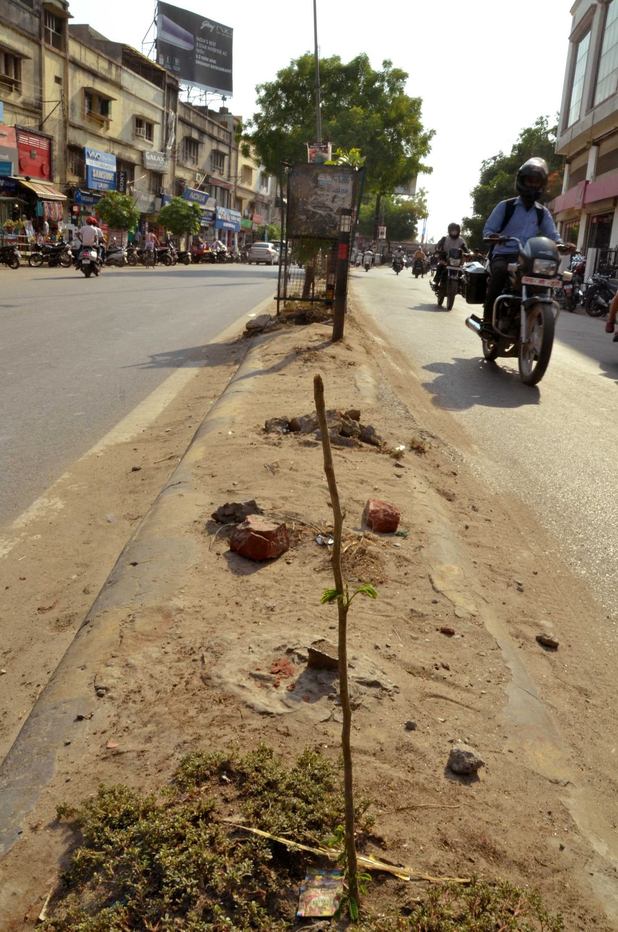 Thousands of trees cut in Kashi, environmental collapse