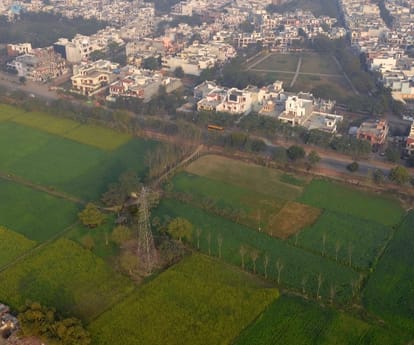  Report on greenery in Lucknow.