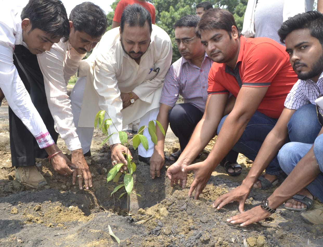 Plantation environment Sworn protection