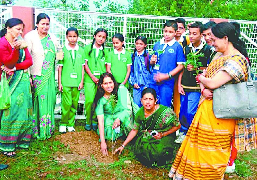 Planted saplings on World Environment Day