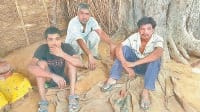 three, cow samagler, policr arrest, mahendragarh