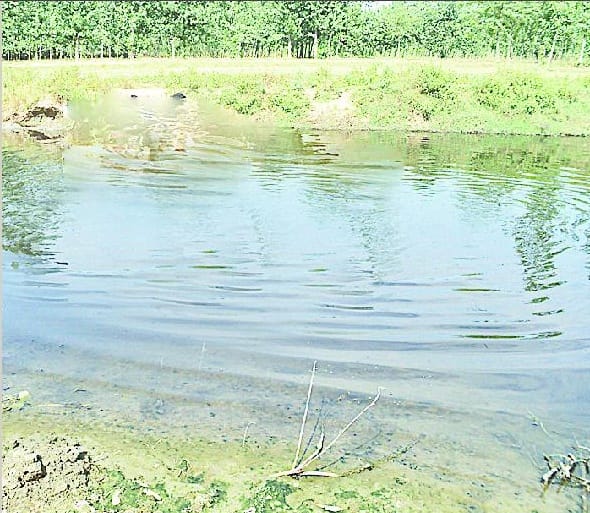 pollution have poisoned air and water 